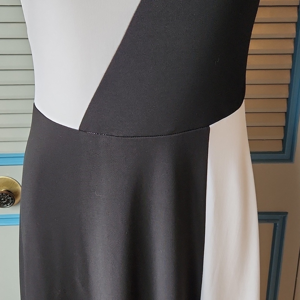 Roz & Ali Black & White Colorblock Dress - Picture 4 of 11